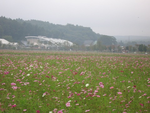 2007/09/23の写真