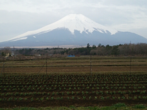 2016/04/01の写真