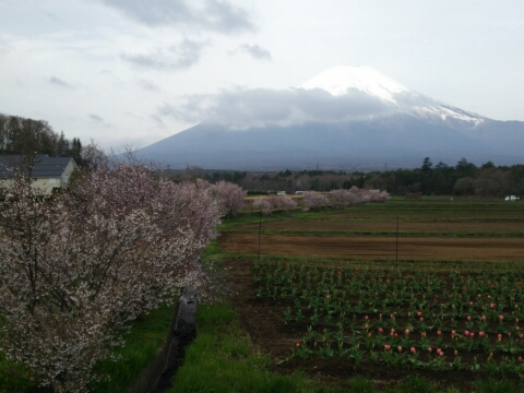 2016/04/21の写真