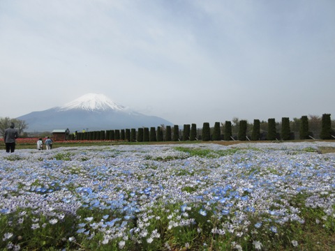 2016/05/03の写真