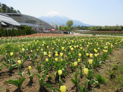 2016/05/07の写真