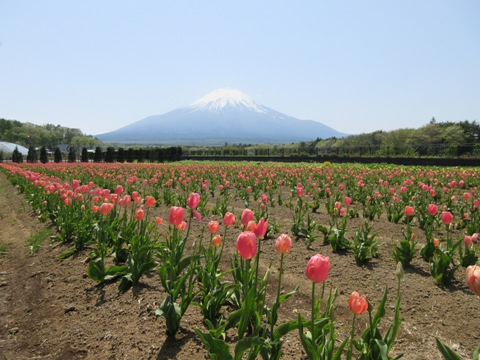 2016/05/07の写真