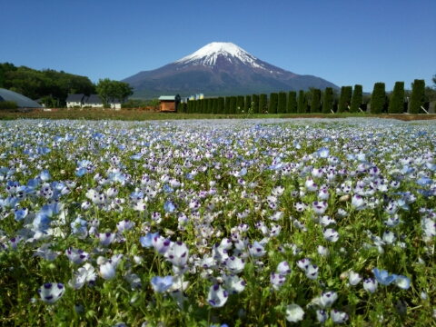 2016/05/13の写真