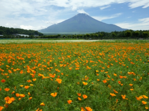 2016/06/25の写真