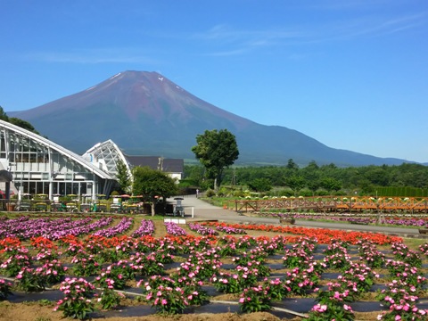 2016/07/07の写真