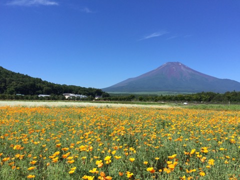 2016/07/07の写真