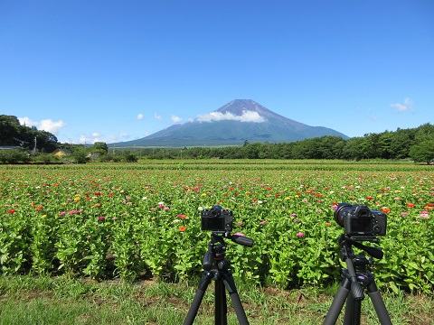 2016/07/14の写真