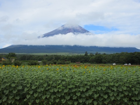 2016/08/01の写真