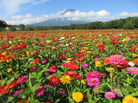 2016/08/04の写真