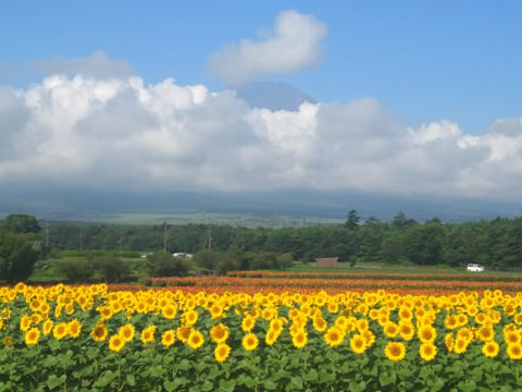 2016/08/05の写真