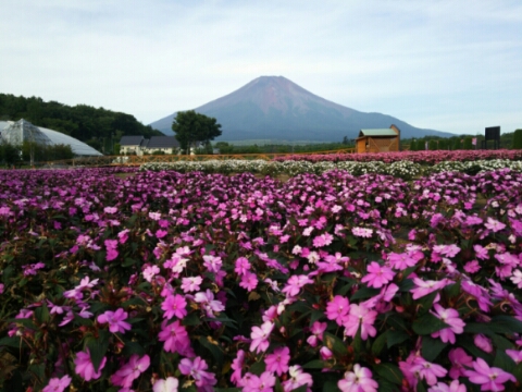 2016/08/09の写真