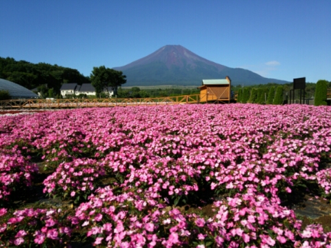 2016/08/17の写真