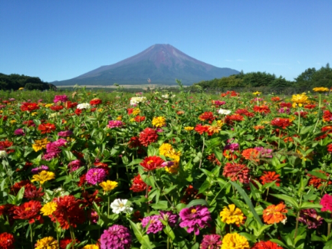 2016/08/26の写真