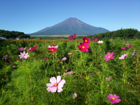 2016/08/26の写真