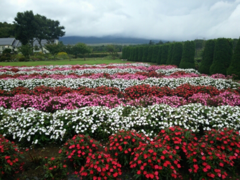 2016/09/08の写真