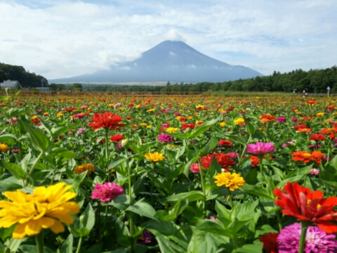 2016/09/17の写真