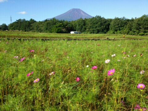 2016/09/27の写真
