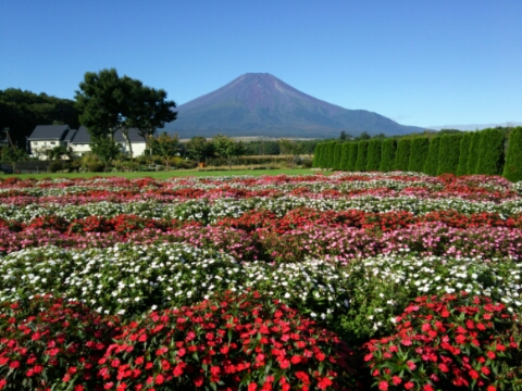 2016/09/27の写真