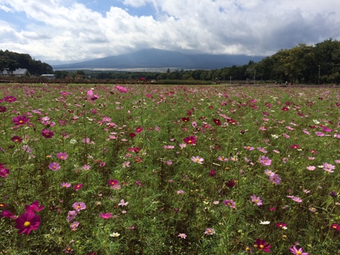 2016/10/12の写真