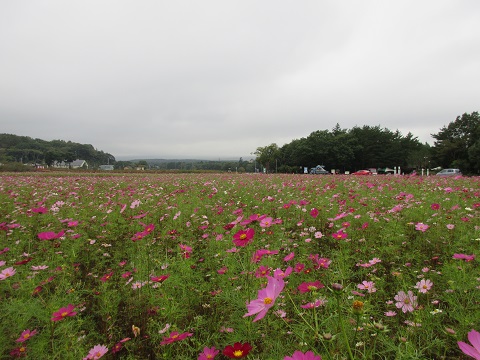 2016/10/13の写真