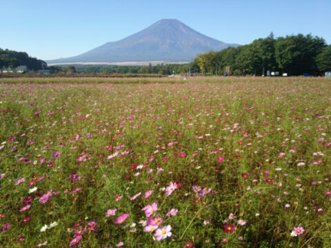 2016/10/20の写真