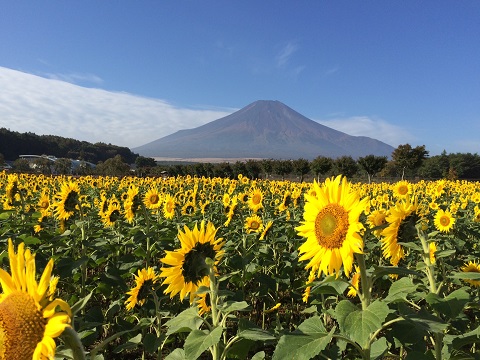 2016/10/23の写真