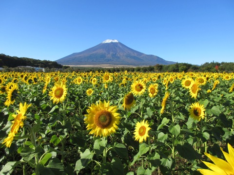 2016/10/26の写真