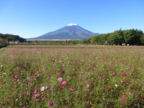 2016/10/26の写真