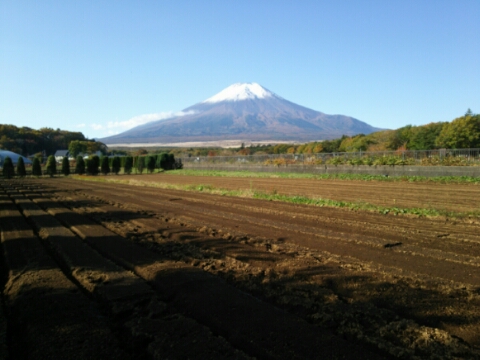 2016/11/04の写真