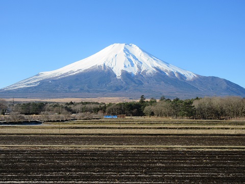 2017/01/01の写真