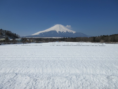 2017/03/30の写真