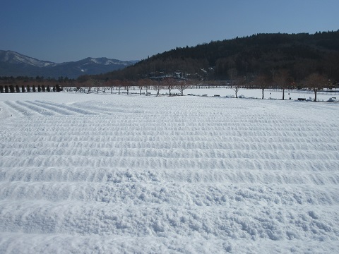 2017/03/30の写真