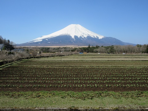 2017/04/14の写真