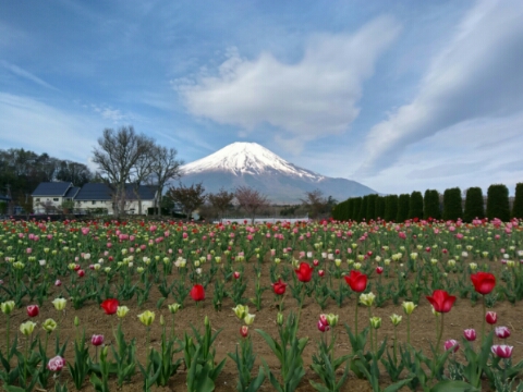2017/05/07の写真