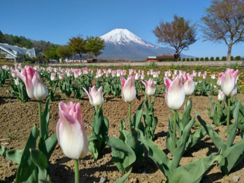 2017/05/08の写真