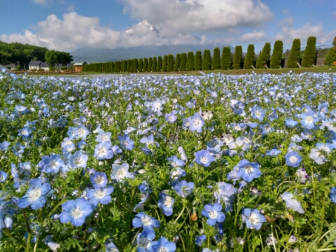 2017/05/27の写真