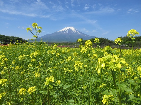 2017/06/10の写真