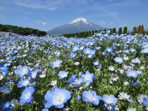 2017/06/10の写真