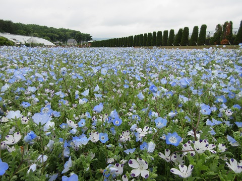 2017/06/14の写真