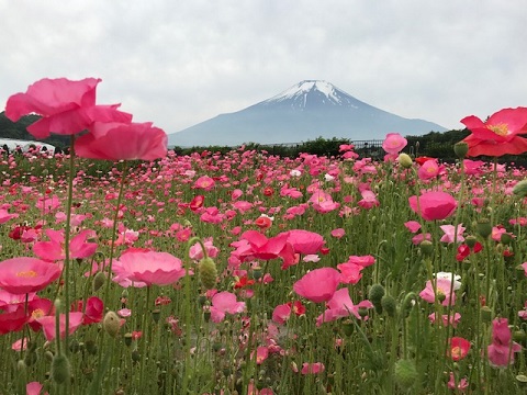 2017/06/18の写真