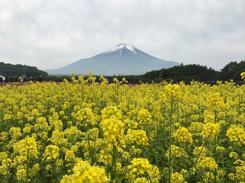 2017/06/18の写真