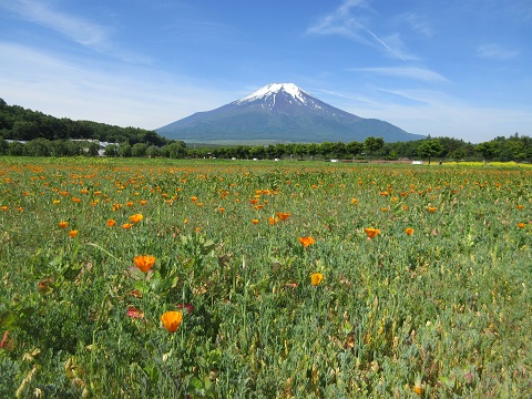 2017/06/20の写真