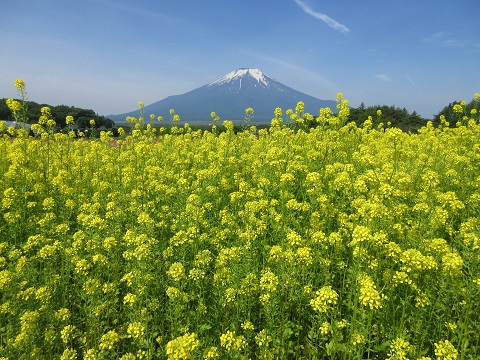 2017/06/24の写真