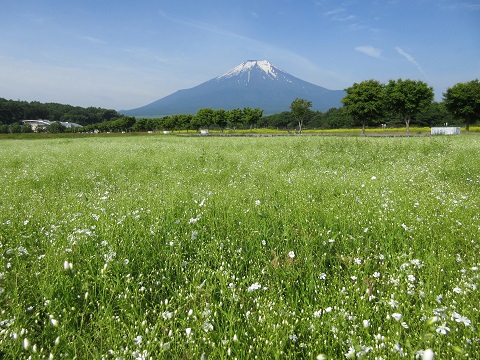 2017/06/24の写真