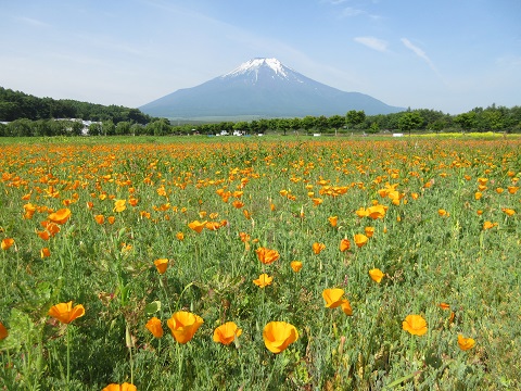 2017/06/24の写真