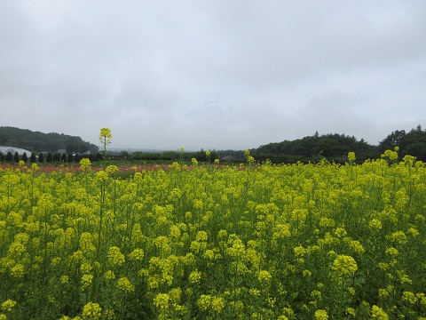 2017/06/27の写真