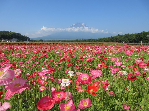 2017/07/08の写真