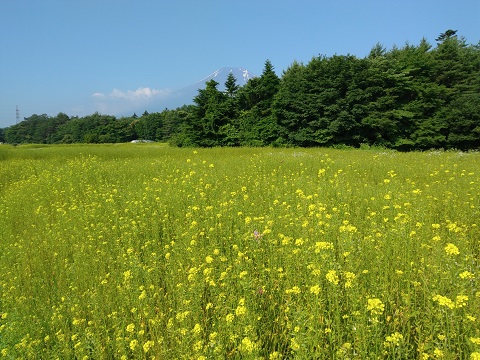 2017/07/08の写真