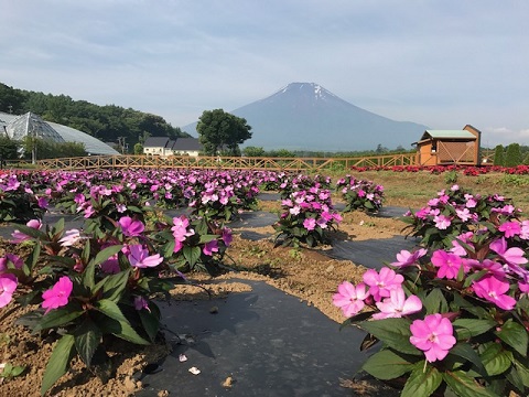 2017/07/09の写真