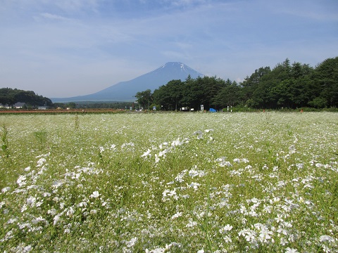 2017/07/09の写真